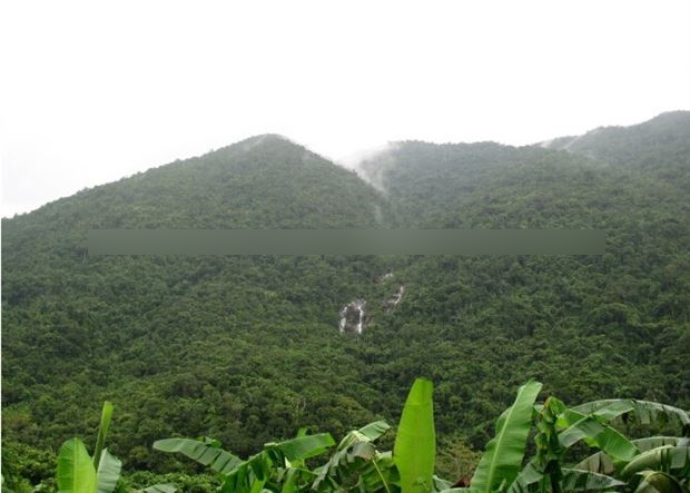 吊罗山国家森林公园