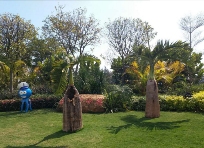 椰岛阳光花园