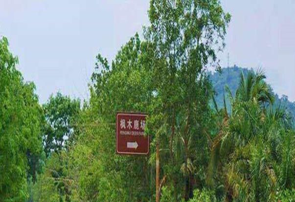  和贵花园