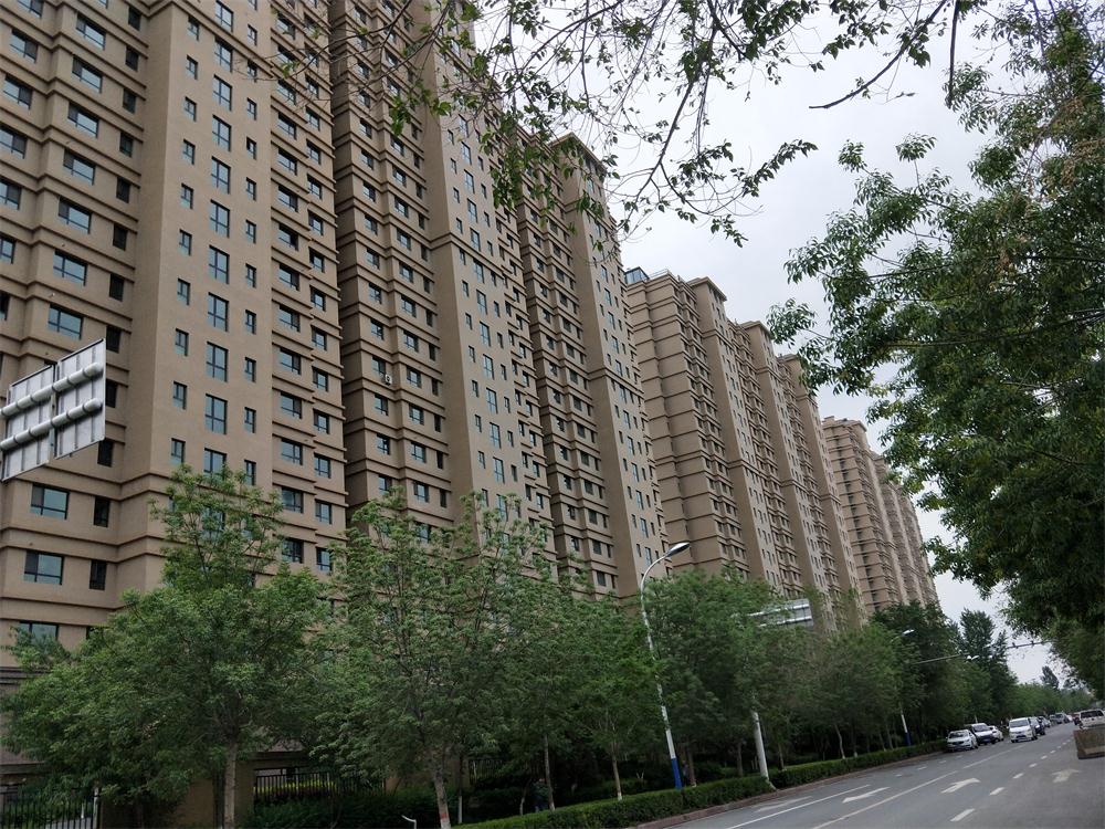实景图