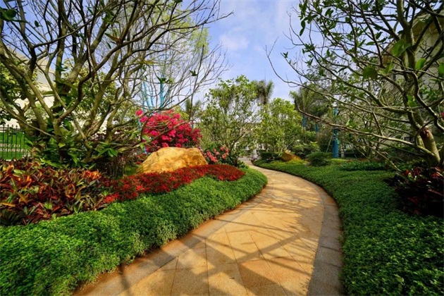 1592445045360510.jpg 1.jpg