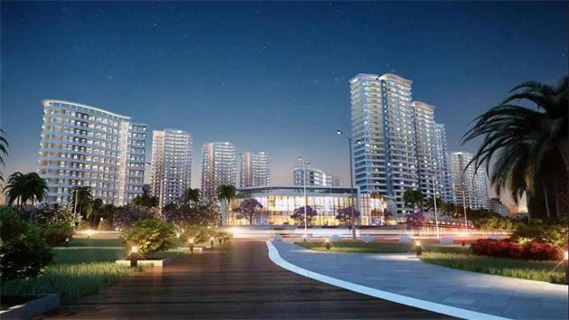 1593481158628424.jpg 8.jpg