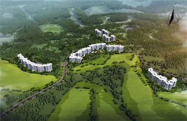 1599792934818869.jpg 1595213679564271.jpg