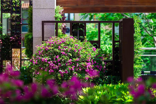 1605080889634775.png 1.png