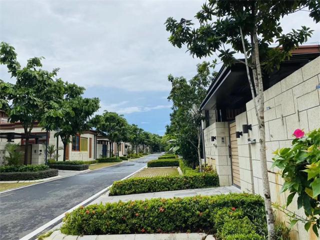 1605080909942030.jpg 2.jpg