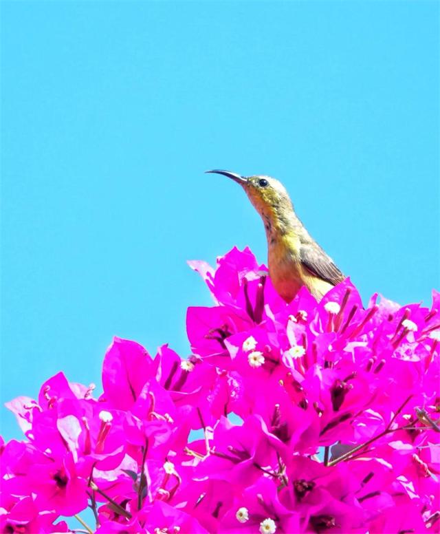 1614650011204586.jpg 2.jpg