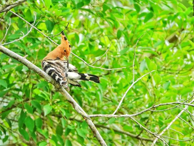 1614650027512423.jpg 3.jpg