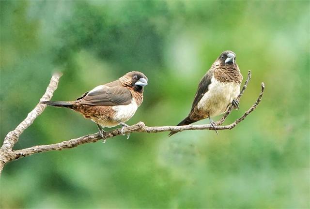 1614650034967548.jpg 4.jpg