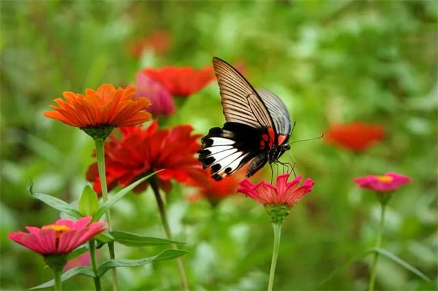 1614650039379673.jpg 5.jpg