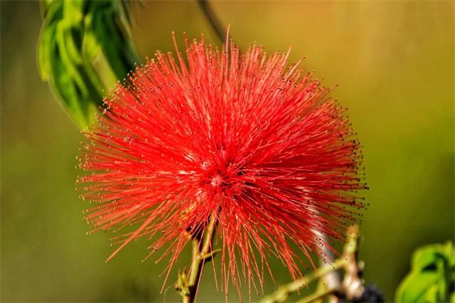 1614650046959252.jpg 6.jpg