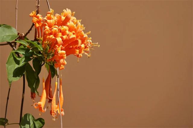 1614650052147781.jpg 7.jpg