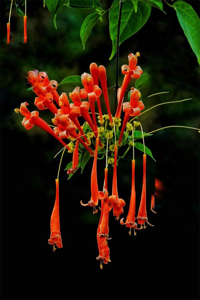 1614650063960633.jpg 8.jpg