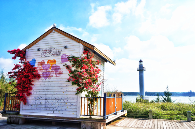 1614650104563096.png 11.png