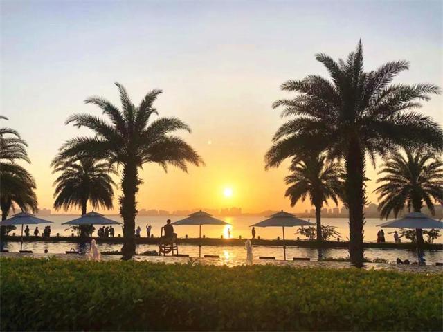 1614650250893762.jpg 20.jpg