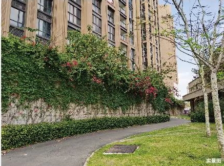 实景图