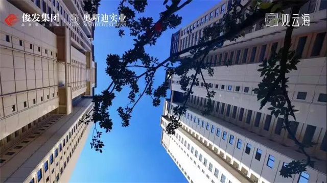 1633743394220523.jpg 5.jpg