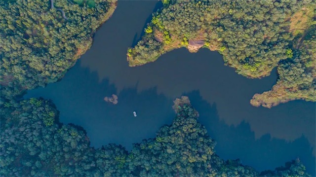 1636774798899049.jpg 1.jpg