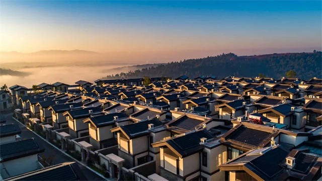 1636774846261239.jpg 2.jpg