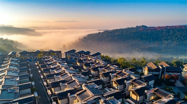 1636774850580054.jpg 3.jpg