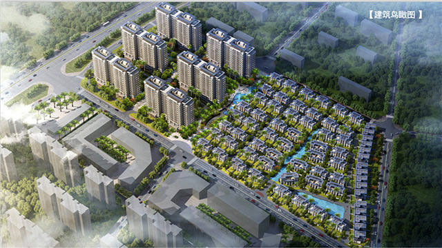 白鹭公元 白鹭公元