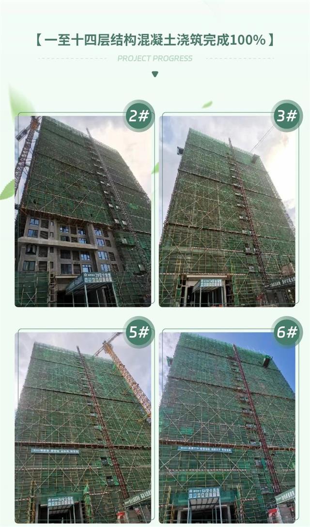 1678253839804217.jpg 1.jpg